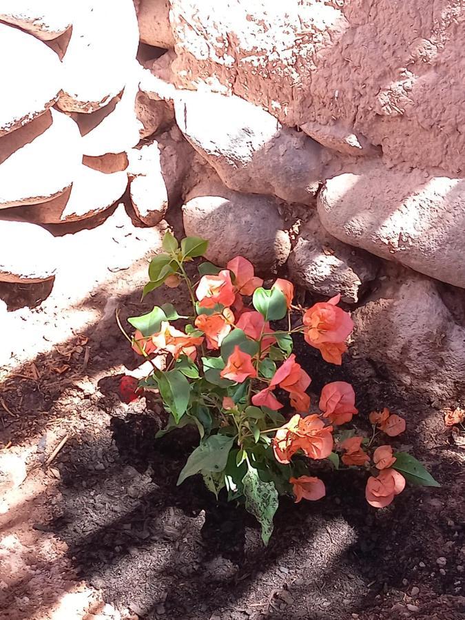 Casa Buenavista Hotel San Pedro de Atacama Buitenkant foto